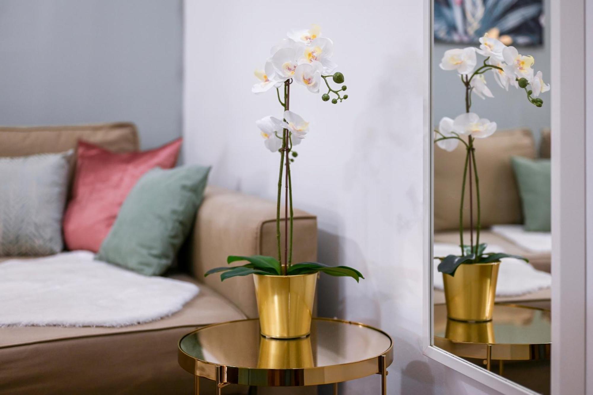 Amethyst Apartments - Kadar Budapest Extérieur photo